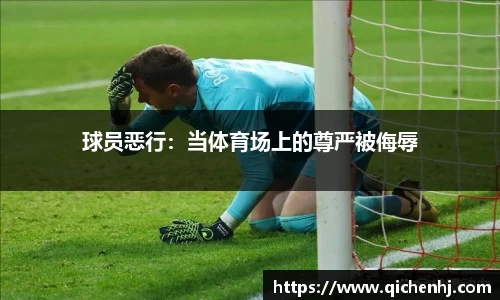 球员恶行：当体育场上的尊严被侮辱
